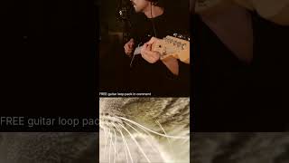 Chilling cat | Lofi Guitar Loop