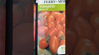 Planting Cherry, Roma, Beefsteak Tomatoes From Seed