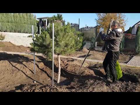 Столб для забора металлический (h=2,725м; Zn=320 г/м2), У-сечение, ТМ Казачка, видео 2