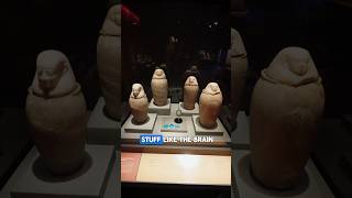 It Might Surprise You Which Organ The Ancient Egyptians Didnt Save In Canopic Jars