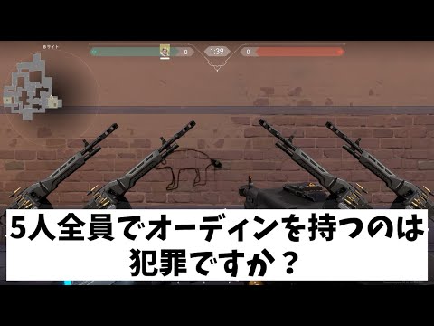 VALORANT法律部門　5オーディン