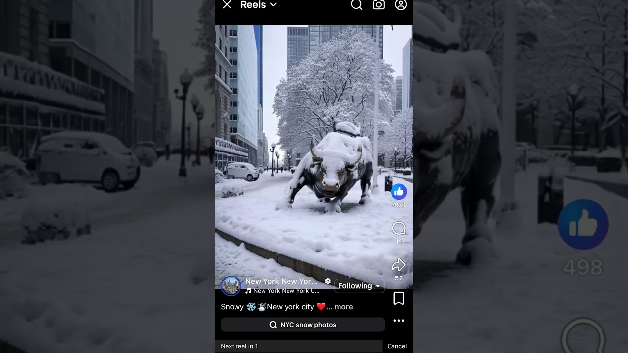 #chargingbull #manhattan #bowlinggreen #nyc