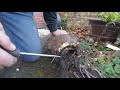 Blocked Drain Drain Unblocking Clean A Drain LTD 047