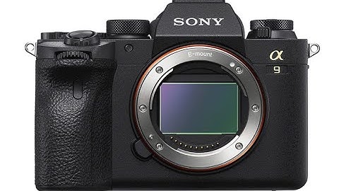 Top5:Best Full-Frame Mirrorless Camera 2022|Camera for Travel