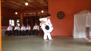 Aikido 1st Kyu Exam Ikkyu Test Aikido of Honolulu