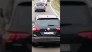 Дорога B31 Арестовали Собаку 🐶