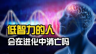 低智力的人會在進化中逐漸消亡嗎?