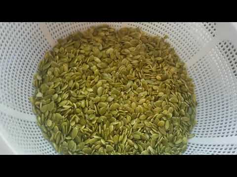 Video: How To Eat Sprouted Pumpkin Seeds