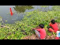 Fish hunting  traditional village pond fishing with hook  rural fishing bd part29