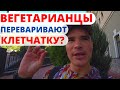 Анализ кала - Копрограмма вегетарианца-сыроеда. Непереваренная клетчатка в большом количестве!