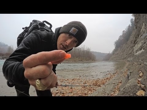 Fly FiHikingng & Hiking Adventure in The Blue Ridge Mountain Forest