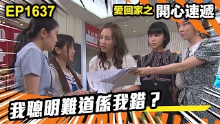 愛.回家之開心速遞 第1637集 | 我聰明難道係我錯?