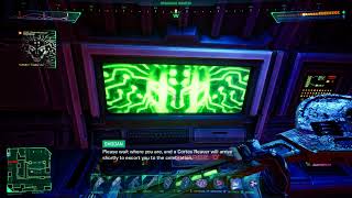 System Shock Remake - Whoops!