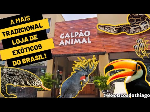 VISITEI A MAIS