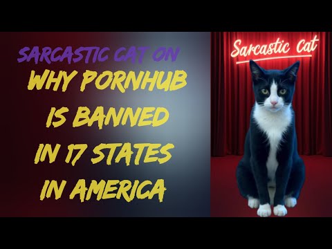 The Sarcastic Cat on Why Pornhub was Banned in 17 States - YouTube