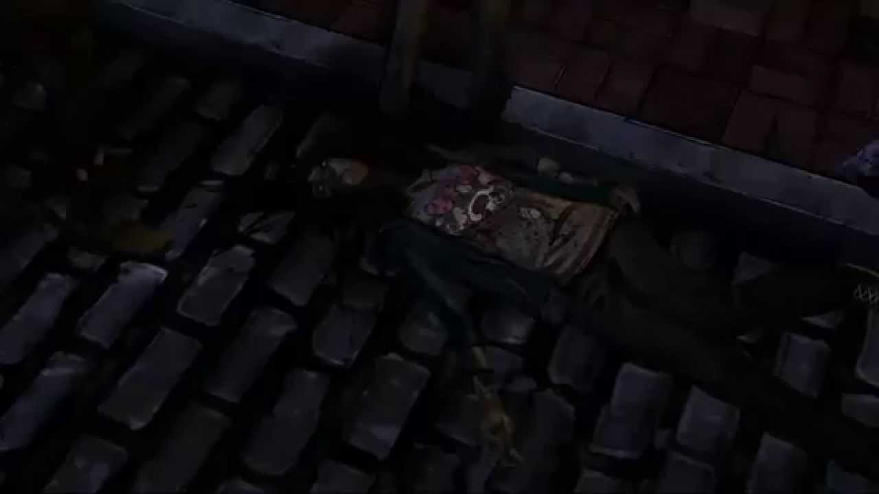 LadyAlexisLP - The Walking Dead - Trailer