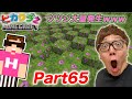 【ヒカクラ２】Part65- 念願のツツジがまさかの大量発生www 1.17アプデ要素【マインクラフト】