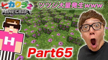 ヒカクラ65