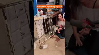 Foley Sound Design: Metal Gate Open & Close