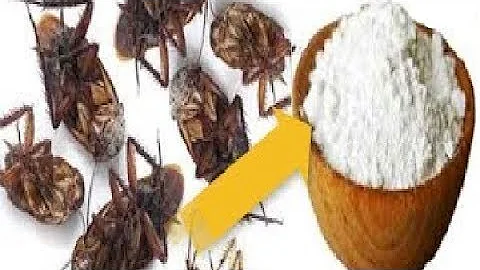 ¿Cómo elimina el bicarbonato de sodio las cucarachas?