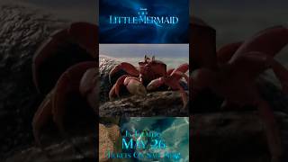 Sebastian And Scuttle From The Little Mermaid