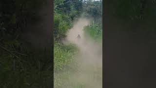 Gowes seru penuh debu, cross country #gowes #crosscountry #debu #kintamani #bali
