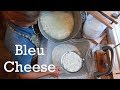 Milk to Cheese: How To Make Bleu Cheese