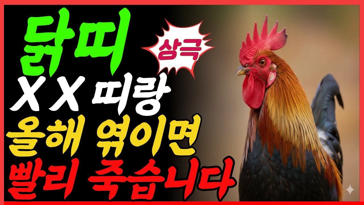 닭띠가 2026년에 초상 치를 수도 있는 이유... 'XX띠'와 엮이는 순간 생명줄 타 들어갑니다.특히 57년생, 69년생 닭띠분들 무조건 보세요