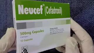 Neucef