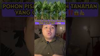 Kenapa Pohon Pisang Hanya Berbuah Sekali ⁉️😱 #faktaunik #fakta #funfacts
