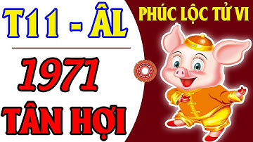 Tháng 11 Âm Lịch – TÂN HỢI 1971 ĐƯỢC TRỜI ƯU ÁI, MAY MẮN ẬP TỚI KHÔNG NGỪNG