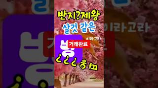 반지?제왕이 살것 같은 원룸 #제기동역#역세권원룸#서울원룸#원룸매물#전세원룸#제기동부동산#아늑한원룸#자취방추천#첫독립#가성비룸#방찾기#서울방구하기#강력추천#원룸투어#오늘의매물