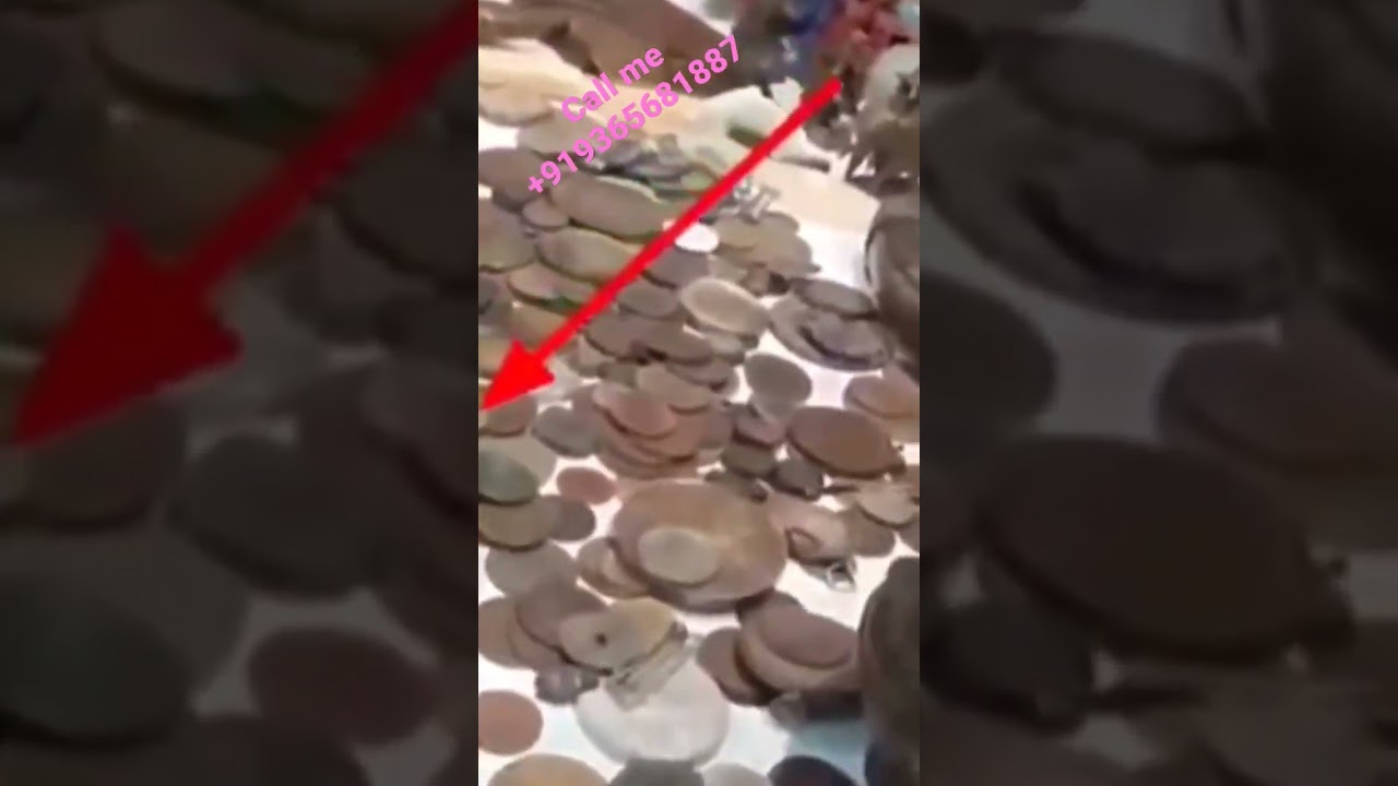 new old coin exhibition