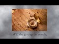 Call Off The Search book trailer