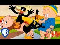 Looney Tunes | Iconic Duo: Porky and Daffy | Looney Tuesdays | WB Kids