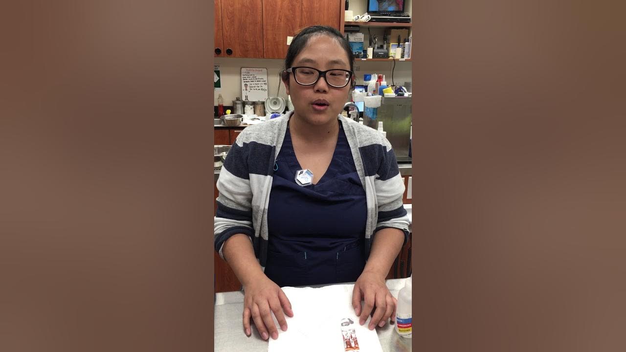 How to perform a skin scrape on a dog YouTube