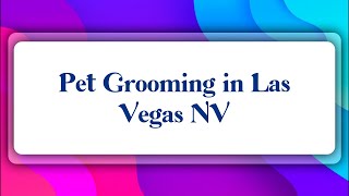 Top 10 Pet Grooming in Las Vegas, NV