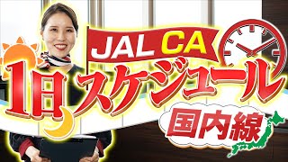 JAL CA 国内線乗務の1日は？ハードスケジュールな日程も…！？