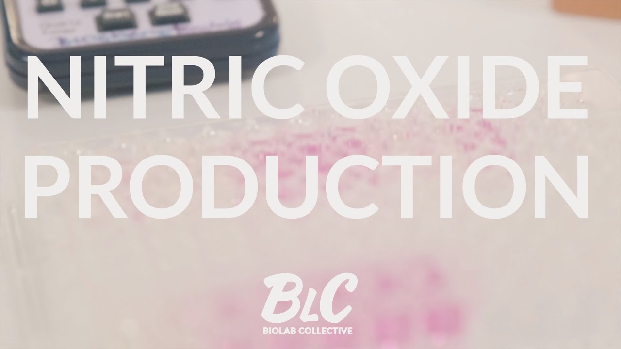 Оксид азота: иммунное распознавание