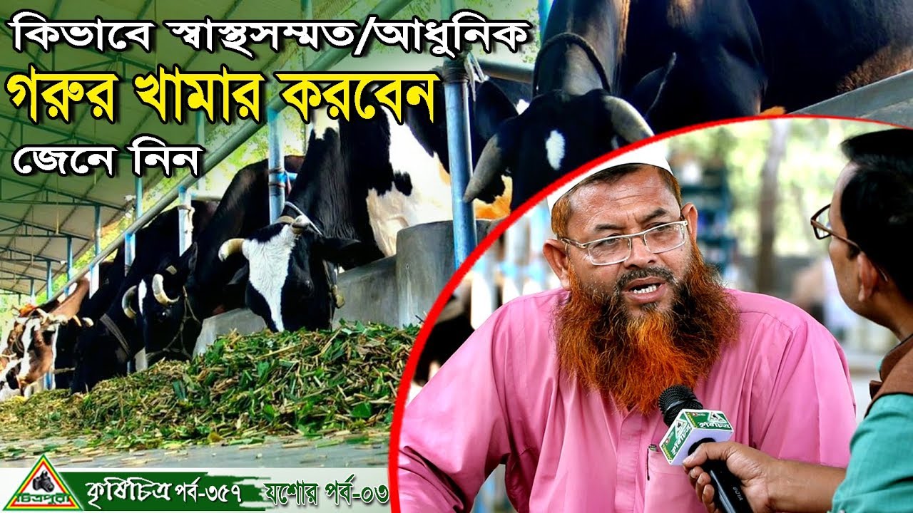 Krishi chitra- 357,কি ভাবে স্বাস্থ সন্মত,আধুনিক গরুর খামার করবেন জেনে নিন, যশোর, কৃষিচিত্র।