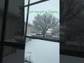 Fresh snowfall in Calgary #habuild #lifeisbutadream #habuilder