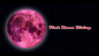 Pink Moon Rising - Aprils Stunning Full Moon