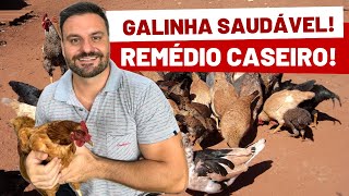 MELHOR REMÉDIO CASEIRO PARA TER GALINHA SAUDÁVEL! COMBATE INÚMERAS DOENÇAS DAS AVES