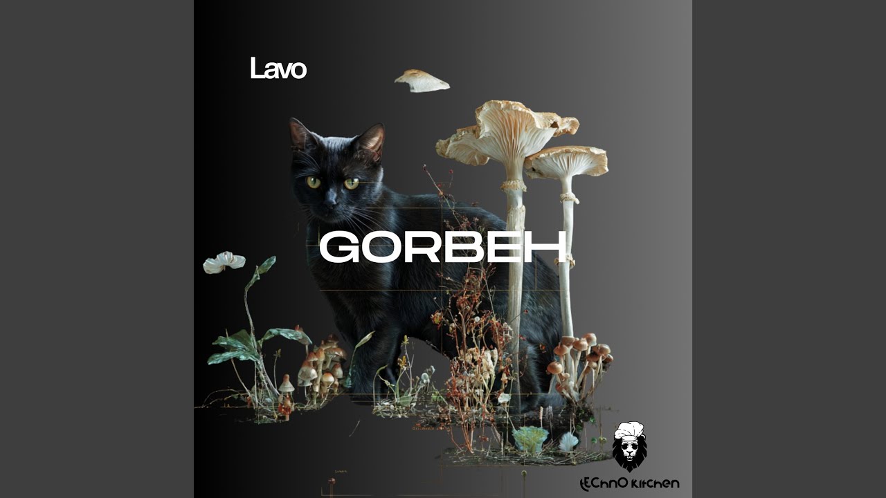 Watch Gorbeh on YouTube Watch Gorbeh on YouTube