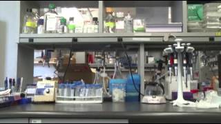 Fetal DNA Tests May Improve Prenatal Screenings