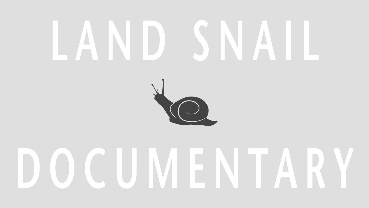 Land Snail Documentary YouTube