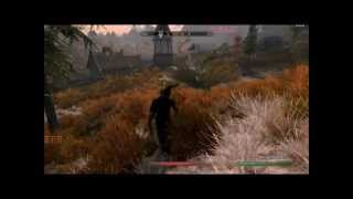 Breakdancing Dragon on Skyrim