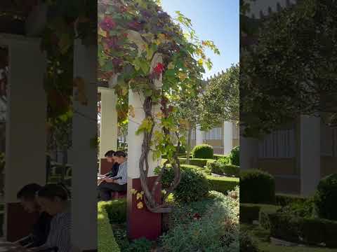 Video: Prírodovedné múzeum v okrese Los Angeles