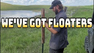 Fencing On The Family Ranch (It escalated quickly)