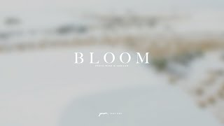 Piece Wise & Abroad - Bloom